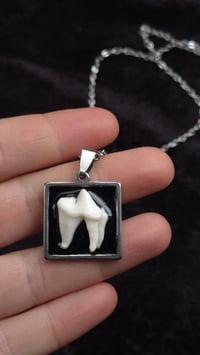 Image 4 of Fox tooth square necklace