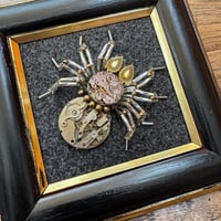 Image 1 of Watch spider (c, 3.5 inches)