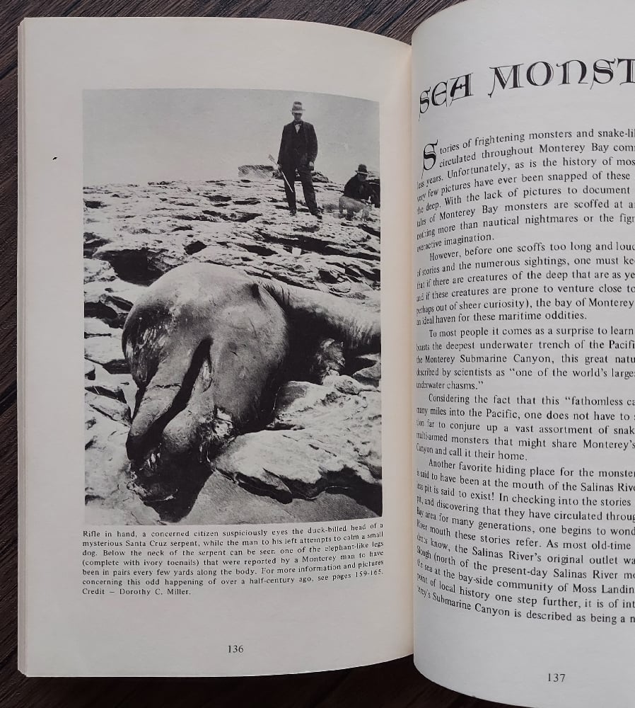 Shipwrecks and Sea Monsters of California's Central Coast, by Randall A. Reinstedt