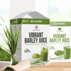 Vibrant Barley Juice