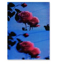 Image 1 of PICK ROSES AT NIGHT II