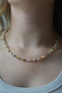 Image 1 of Tangerine Grove 