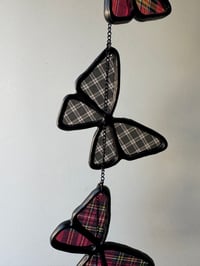 Image 5 of Butterflies V8