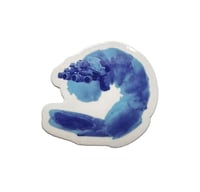 blue shramp