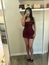 Charlotte dress- wine red 