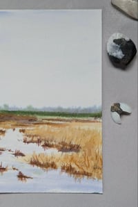 Image 3 of Wetlands 2