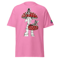 Image 3 of fairies on mushies