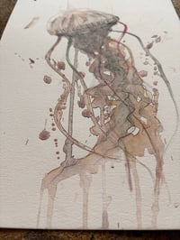 Image 2 of Méduse 