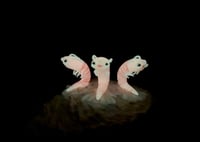 Image 2 of Shrimp Mermaids