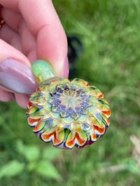 Image 5 of Snapdragon