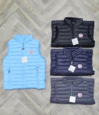 Image 1 of Bodywarmer cg