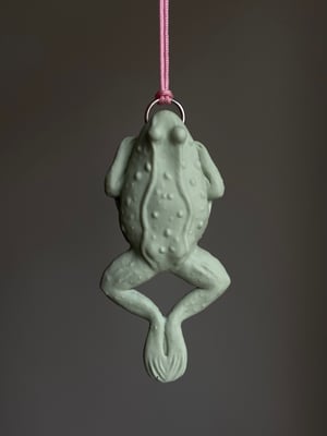 Dissected Frog Pendant Pink and Green 