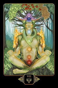 Image 3 of Dreams Of Gaia Tarot