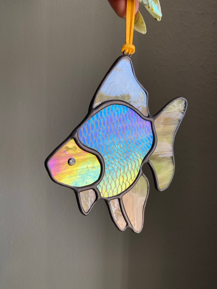 Image of GOLD Ryukin Goldfish