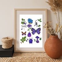 Image 2 of Scorpio Nature Chart PRINT