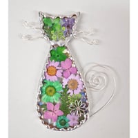 Image 3 of Real Flower Puss Cat
