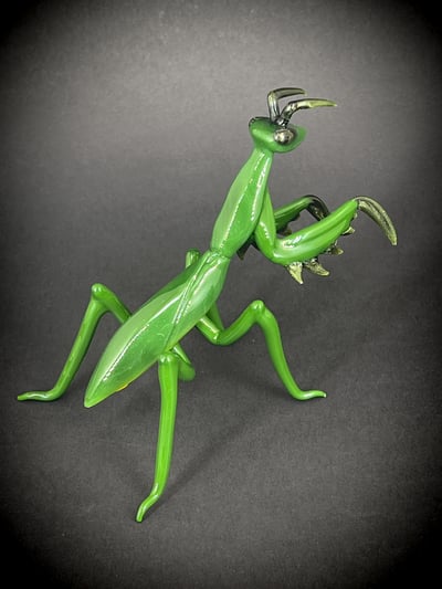 Image of Praying Mantis 