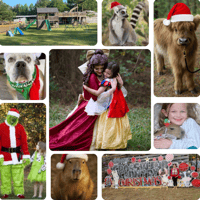 Image 1 of Magical Christmas animal experience with a holiday princess! Snow, music, farm and exotic animals. 