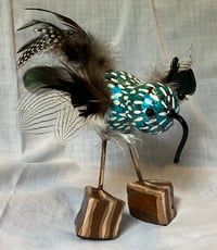 Image 3 of Blue Bird Gourds