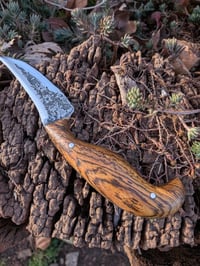 Image 2 of BOCOTE GEN2 DRAUG