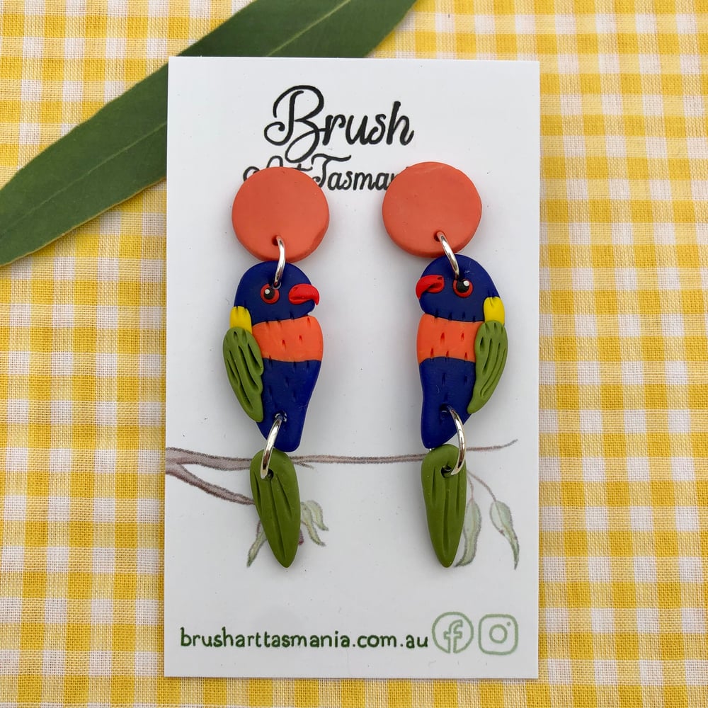 Rainbow Lorikeet Earrings