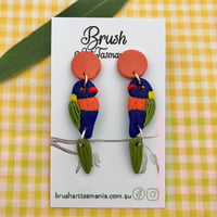 Image 1 of Rainbow Lorikeet Earrings