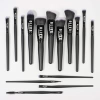 Image 1 of PRO 15pc BRUSH SET 