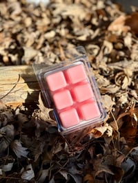 Image 2 of Pink Watermelon Lemonade | Soy & Beeswax Melt
