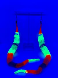 Image 4 of Rainbow Worm Earring OR Clip 