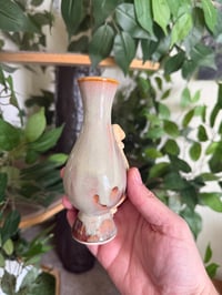 Image 5 of Mushroom or Slug