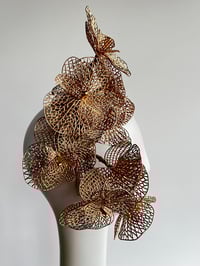Image 3 of Gold orchids.