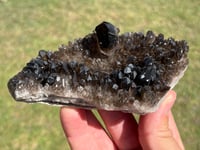 Image 6 of Smoky Quartz Crystal Points Cluster | Brazil #2971