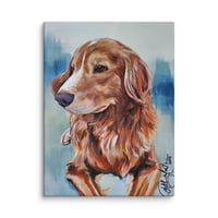 Image 1 of Nova Scotia Retriever