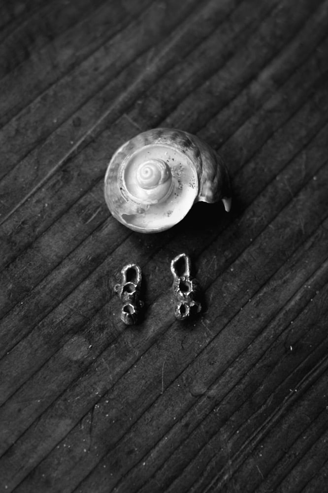 Image of Gwyran Earrings