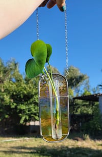 Image 5 of Iridescent Amber Propagation Holder