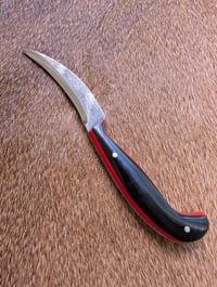 Image 2 of SLIVER