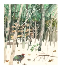 Winter Woods and Turkey 