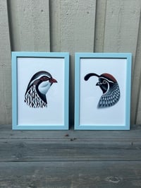 Image 2 of Quail 
