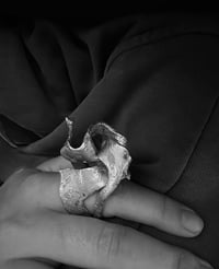 Image 3 of Honhom ring