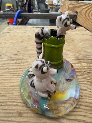 Image of Raccoons at the Park