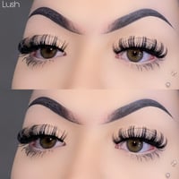 Lush Lashes 