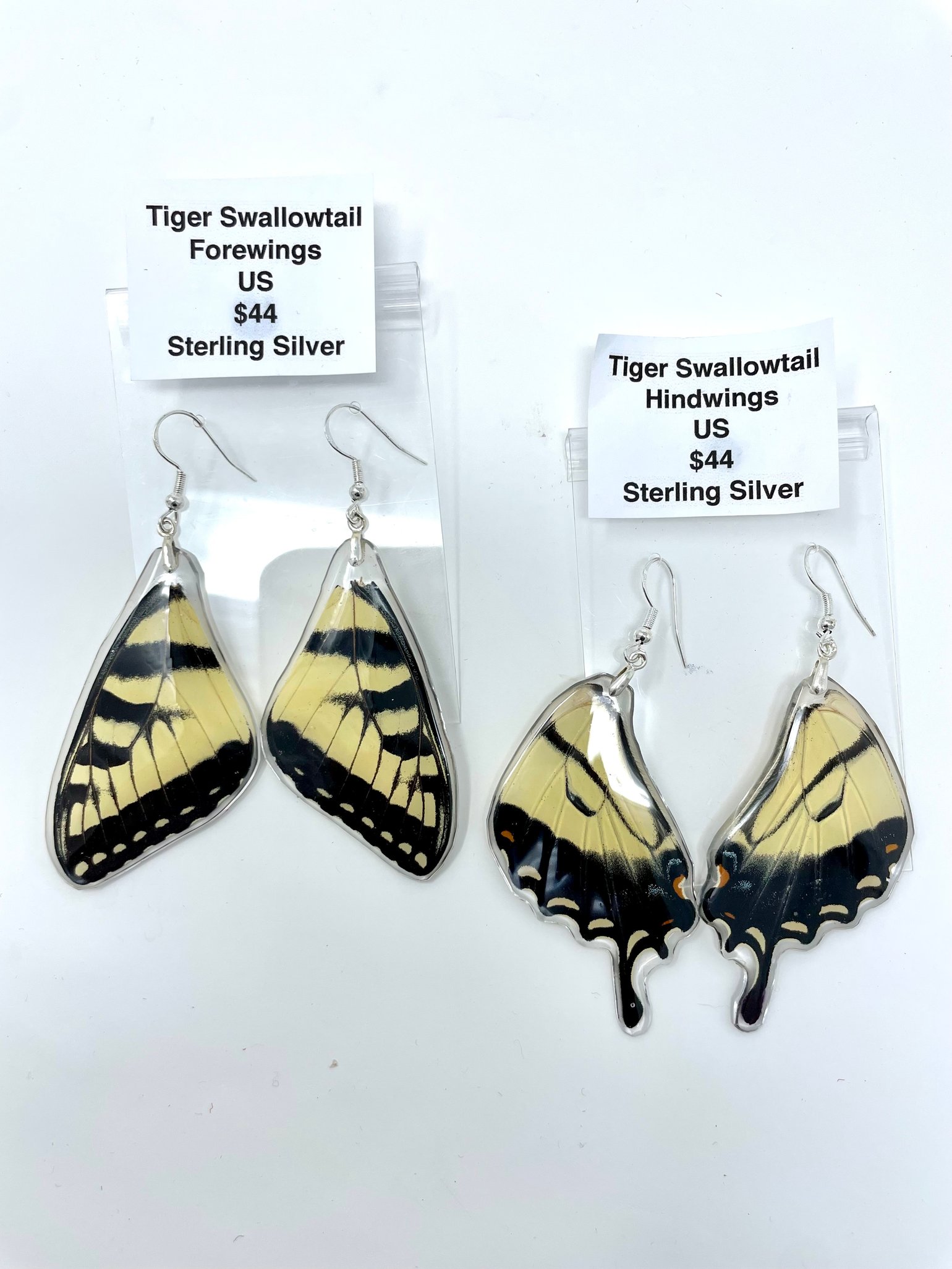 Image of Eastern Tiger Swallowtails