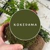 Kokedama -  28/07/24 Crafting Living Decor