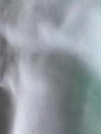 Plain White 