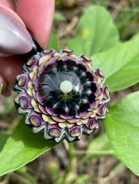 Image 5 of Sunset Canyon