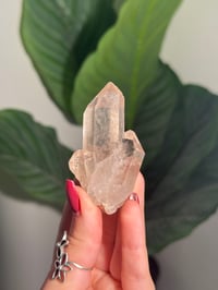 Image 1 of NATURAL TRIPLET SMOKEY QUARTZ POINT -BRAZIL- F