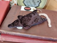 Image 2 of POCKET RAT - REGULAR STEVE