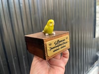 Image 10 of Custom Engraved Budgie Parakeet Handpainted To Your Photos Bird Mini Keepsake Urn Pet Portrait