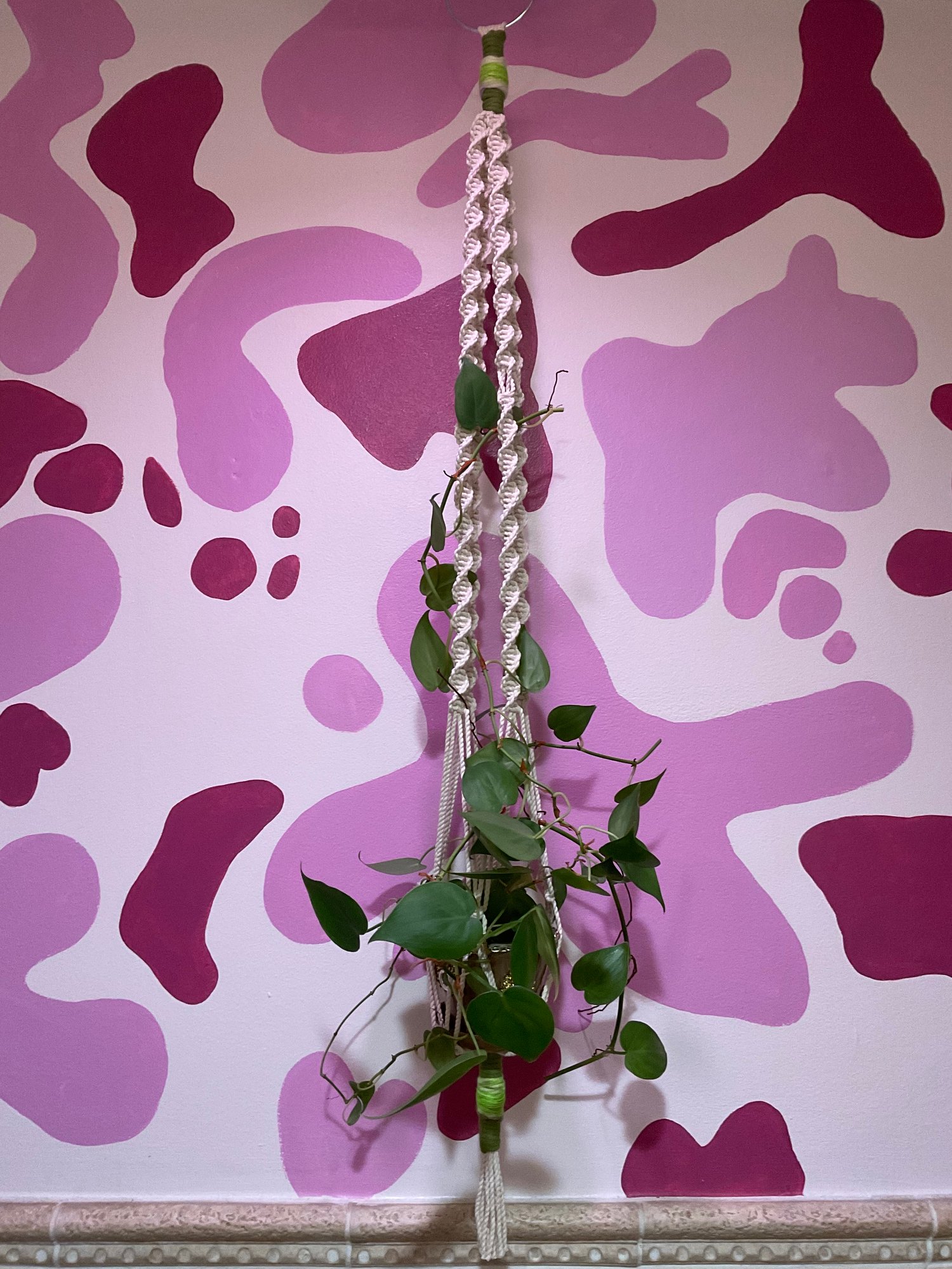 Image of Green DNA Spiral Plant Hanger