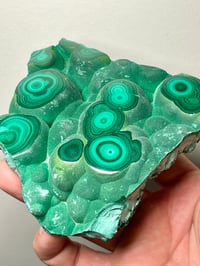 Image 6 of Botryoidal Malachite Polished Specimen | Congo #2782
